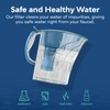 AMI Alkaline Water Pitcher for High pH, Filtered Water Dispenser