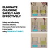 SWIM SALON Chlorine Removing Shampoo for Swimmers | Vitamin C