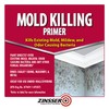 qt Zinsser 276087 White Zinsser, Mold Killing Primer Water-Based Mold