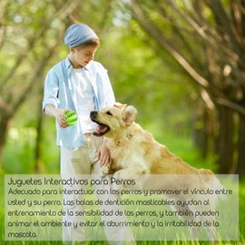 TUMYES Pelota de Juguete para Perros, Juguete para Limpiar los Dientes, Pelota Perro Indestructible, Juguetes Interactivos para Perros, Goma No Tóxica Pelota Duradera (7CM 2PCS)