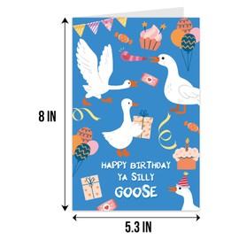 Qiliji Qiliji Silly Goose Birthday Card for Him Her, Funny Goose Birthday Card for Friend, Cute Birthday Card for Son Daughter, Happy Birthday Card for Boyfriend Girlfriend Husband Wife