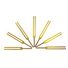 Radical Golden Chakra Set of 7 Colored Tuning Forks Long Handles with Mallet and Velvet Storing Pouch