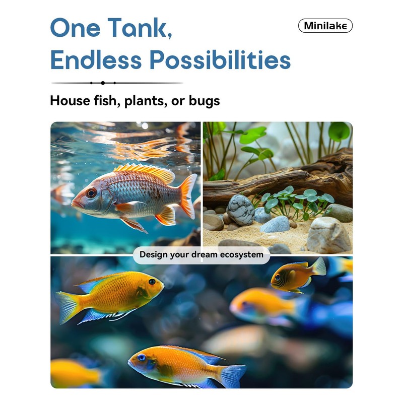 Glass Fish Tank Kit, 2.5 Gallon Betta Fish Tank Aquarium