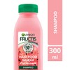 Fructis - Champú Garnier para el cabello Sandia, 300 ml