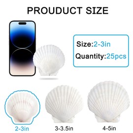 sinkoo Scallop Shells White Natural Seashell 25 PCS for DIY Craft Mermaid Beach Wedding Home Decoration(2"-3")