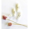 Kaya Mint Natural & Organic - Three Lip Balms
