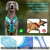 PZRLit Light Up Dog Harness - LED Dog Harness Rechargeable,