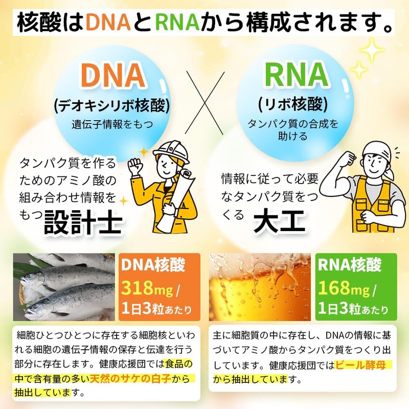 Concentrated DNA & RNA (Nucleic Acid): Approx. 1 month (90