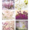 Small World Greetings Spring Blossoms Flower Note Cards 12 Count