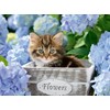 Ravensburger 12894 5 300 Piece Flower and Kitten Jigsaw Puzzle