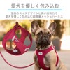 CURLI mylittledog Air Mesh Airblue Special Edition SE24-AB (2XS) Vest