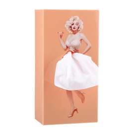 1 Stück Taschentücher Box mit Fliegendem Rock-Design, Kreative Taschentuchbox Kosmetiktücher Tissue Box mit einen Mädchen Taschentuchspender Tücherbox Spender Deko Beige