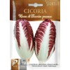 HORTUS Seeds: Art 1901 Leaf Chicory Treviso Precoche