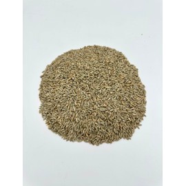 Rye Berries, 20lb Bucket with Mylar and Oxygen Absorber, Non GMO, No Glyphosate Residue, Lab Verified Chemical Free, Premium Packaging 25 year shelf life, Kosher, Utahs Own, Great for Baking and Brewing, High Trust / Employee Owned Seller