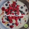 Freshly Fermented - Organic Certified Freeze Dried Yoghurt Starter Culture,