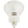 Iwasaki JDR110V30WUV/WK/H2/E11 Halogen Light Bulb White