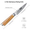HOSHANHO Damascus Paring Knife 3.75 Inch, Professional 67 Layers Damascus