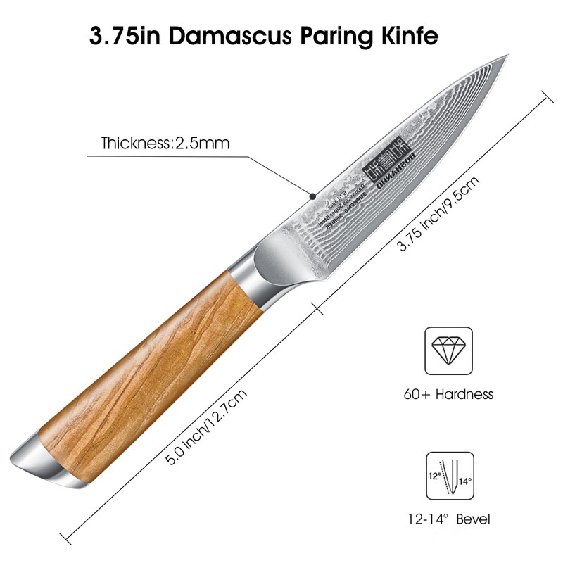 HOSHANHO Damascus Paring Knife 3.75 Inch, Professional 67 Layers Damascus