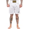Benlee, Pantaloni da Boxe, da Uomo, Tinta Unita