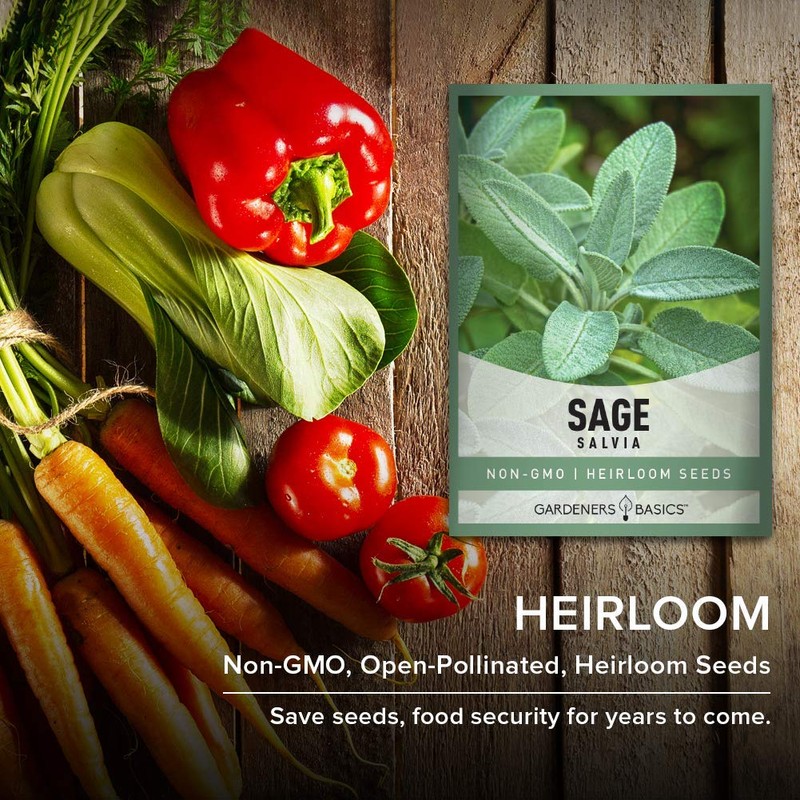Gardeners Basics, Sage Seeds for Planting Heirloom, Non-GMO Herb Variety-