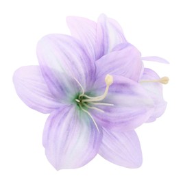 Healvian Lily Flower Hair Clip for Women Elegant Hawaiian Floral Hair Accessory Non- Design for Beach Parties and Casual Outings Charming Side Flower Barrette