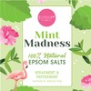 Elysium Spa Spearmint & Peppermint Epsom Salts