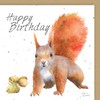 Red Squirrel and Acorn Quality Blank Birthday Card