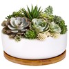 BambooMN Ceramic Succulent Planter Pots - 1 Pot - Round