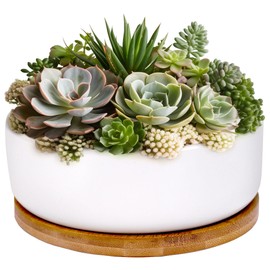 BambooMN Ceramic Succulent Planter Pots - 1 Pot - Round Bowl - with Bamboo Tray - White - 6.49"