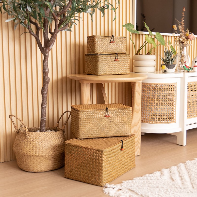 4 Pack, Wicker Baskets with Lids, Nautral Seagrass Storage Baskets,