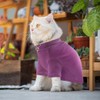 Idepet Sphynx Cats Sweater 2 Pack,Turtleneck Hairless Cat Shirt Soft