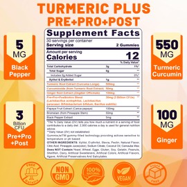 NEVISS 2 Pack Iron Gummies with Turmeric, Vitamin C+ Sugar Free Turmeric Curcumin Filled Gummies with Pre, Pro & Postbiotic Blend for Women Men, Iron Deficiency & Anemia, Joints, Immune & Digestive Health