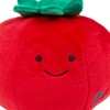 Petface Greenfingers Tigan The Tomato Plush Dog Toy