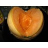 HAOGEN CANTALOUPE SEEDS- Grow Large Sweet Juicy Melons