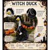 Halloween Goose Outfit Clothes,Hat,Skirt,Broom, Set for 23 Inch Cement Geese