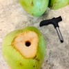 zhuohai Stainless Steel Coconut Opener Tool, Straw Hole Maker Safe