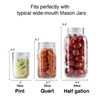 4-Pack of Fermentation Glass Weights with Easy Grip Handle for
