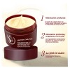 Fg Crema Para Manos Y Pies Con Aceite De Caballo,