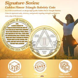 Victory Path 2 Year Sobriety Coin, Affirmation AA Chips, Addiction Recovery Two Years Sober Medallions, Celebrating Anniversary Token, Alcoholics Anonymous Sobriety Gifts for Men Women