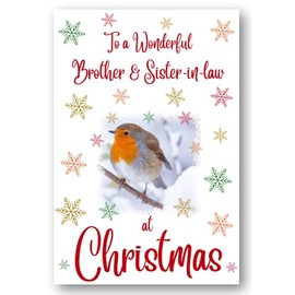 Second Ave Brother & Sister-in-Law Christmas Robin Xmas Holiday Festive Greetings Card