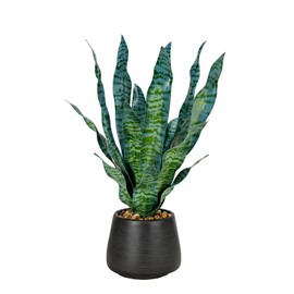 D&W Silks Snake Plant in Black Cement Pot