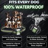 Dog Shock Collar with Remote, Unmatched 4-Mile Range, Night-Light Mode,