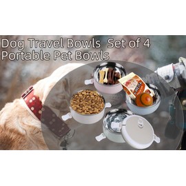 CHICIRIS Travel Dog Bowls, 4-tier portable stainless steel pet food container with handle, for dog and cat feeding, 24oz