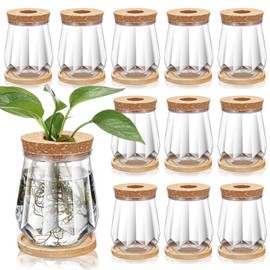 Baderke 12 Packs Propagation Vases for Plants Plastic Plant Propagation with Hole Lid and Bamboo Stand Growing in Water Hydroponic Home Office Desktop Vase Decoration(Diamond Style)