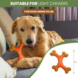 SPOT Bam-Bones Dental X-Bone - Made with Bamboo Fiber and a Massaging Rubber Center, Durable Oral Care Dog Chew for Light Chewers & Teething Puppies under 25lbs, 6in Allergen Free Peanut Butter Flavor