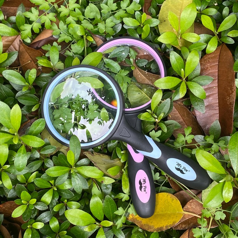 Mr. Pen- Magnifying Glass, 2 Pack, 10X Magnifier, 75mm Glass