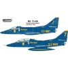 MILSPEC DECAL, MS 72-055, 1/72 SCALE, A-4F/TA-4 SKYHAWK, BLUE ANGELS,