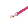 ZippyPaws Vivid Collection Dog Leash - Dog Accessories, Premium Leather