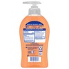 Softsoap Liquid Hand Soap, Crisp Clean Scent Hand Soap, 11.25