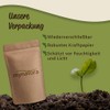 Mynatura Organic Stone Clover Tea I Stone Clover I Herbal